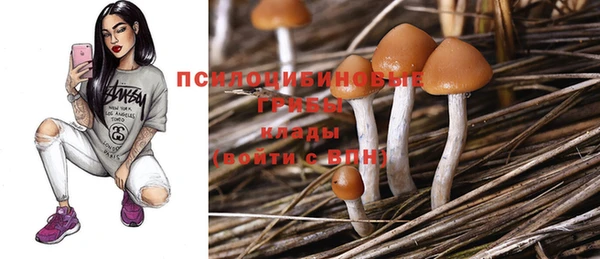 mix Дмитровск