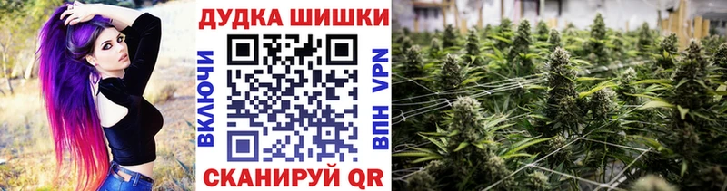 закладка  Богучар  Бошки марихуана индика 